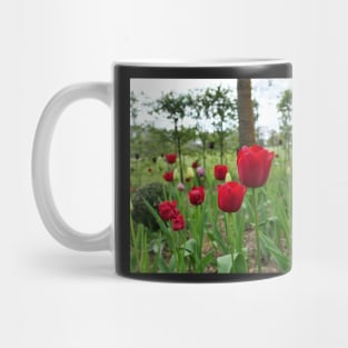 Red tulip flower garden Mug